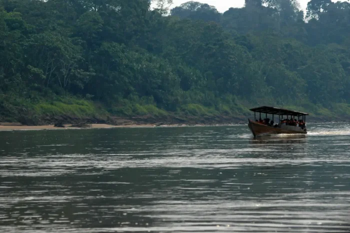 Amazon Expedition: Puerto Maldonado – Tambopata